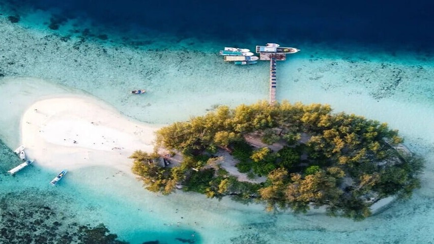 panduan island hopping di pulau dolphin