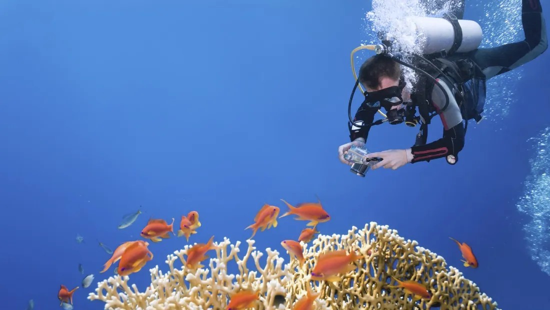 7 Spot Fotografi Bawah Laut Terindah di Kepulauan Seribu
