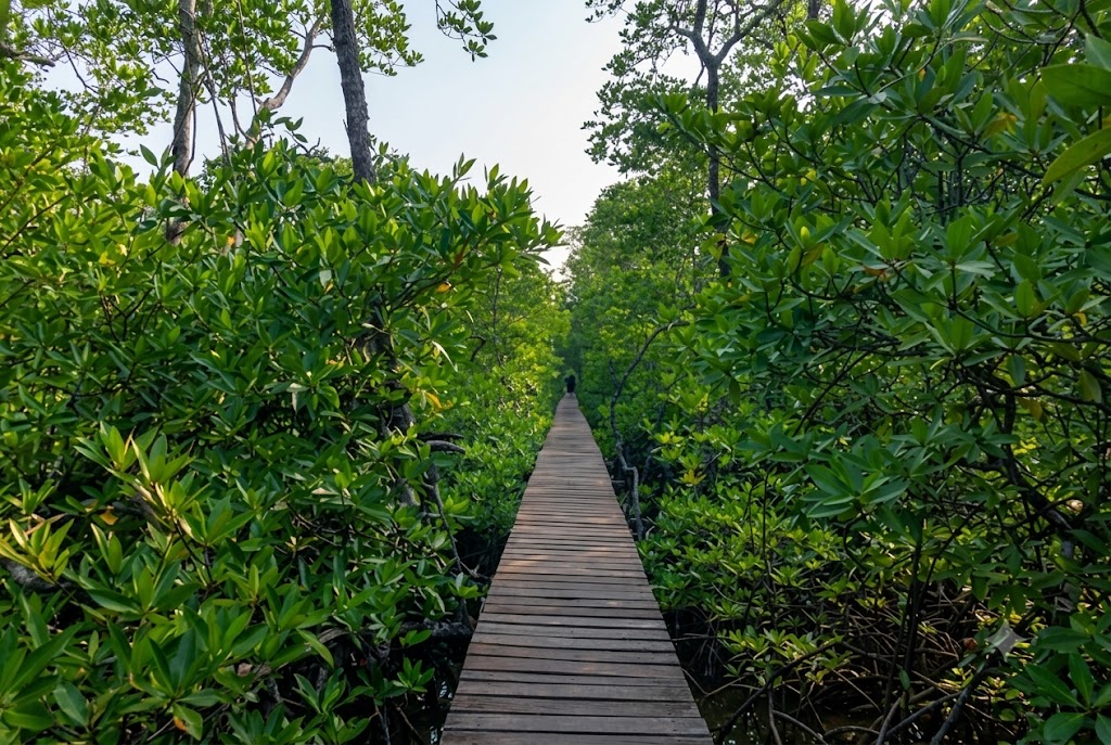 Spot Foto Pulau Tidung Favorit untuk Referensi Liburan