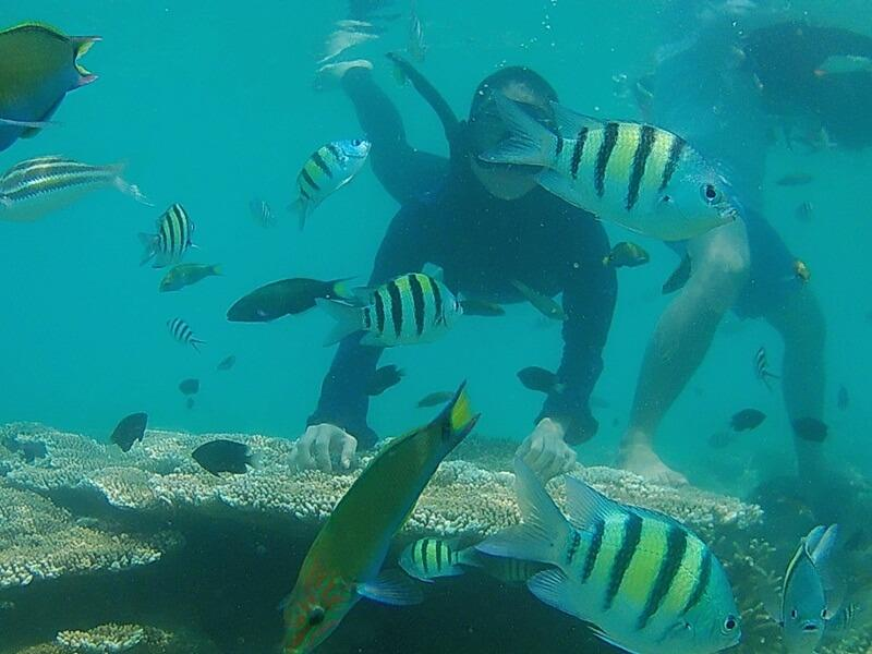 Waktu Terbaik ke Pulau Tidung untuk Liburan Aman