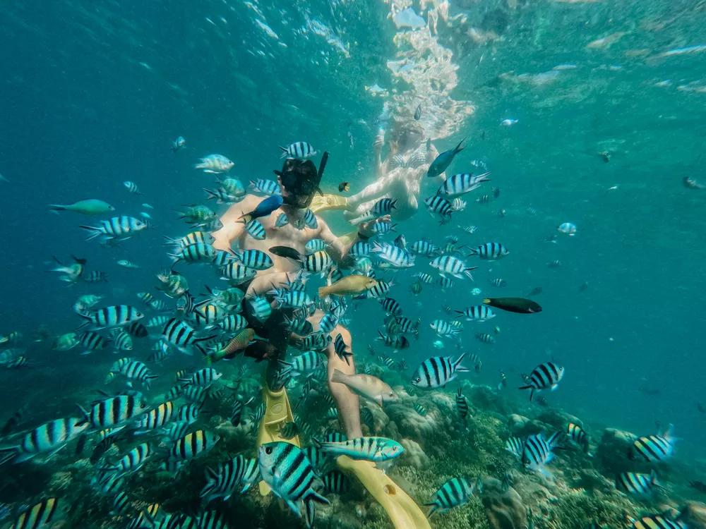 Spot Snorkeling Pulau Pari Terbaik dan Tips Aman Pemula